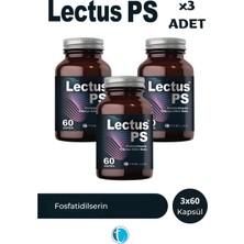 Tab İlaç Lectus Ps 60 Kapsül x 3 Adet