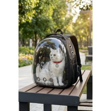 Vigi Store Premium Deri Astronot Kedi Taşıma Çantası Şeffaf Pet Sırt Çantası Köpek Taşıma Çantası Siyah