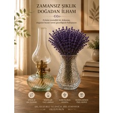 Plant Home Power Mix Dekoratif Kesitli Cam Vazo / Dekoratif Cam Gaz Lambası / Şoklanmış Lavanta Set