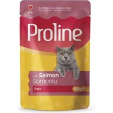 Renas Store Somonlu Yaş Kedi Mama 85 gr