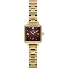 Momentus CW312G-14SG Kol Saati