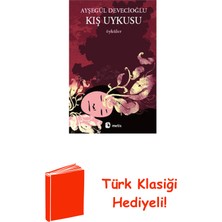 Metis Yayınları Kış Uykusu + Türk Klasiği Hediye