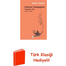 Metis Yayınları Teorinin Cini - Edebiyat ve Sağduyu + Türk Klasiği Hediye