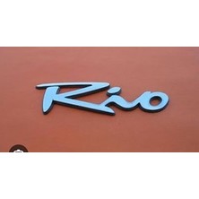 Wisco 348113 Yazı Rıo Orta Kasa 2000-2005 Krom TW3910018