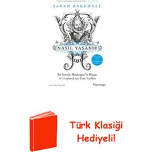 Domingo Yayınevi Nasıl Yaşanır Ya Da Bir Soruda Montaigne'in Hayatı + Türk Klasiği Hediye