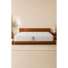 İnnova Bedding Lateks Dynamic Doğal Lateks Yatak