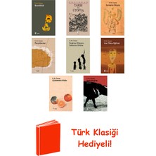 Metis Yayınları Emil Michel Cioran 8 Kitap Seti + Türk Klasiği Hediye