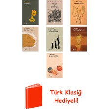 Metis Yayınları Emil Michel Cioran 7 Kitap Seti + Türk Klasiği Hediye