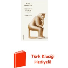 Domingo Yayınevi Kedi Felsefesi - Kediler ve Hayatın Anlamı + Türk Klasiği Hediye