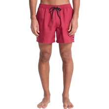 Quiksilver Deluxe 15 Erkek Deniz Şortu