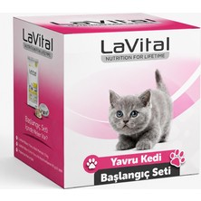 Lavital Yavru Kedi Başlangıç Paketi