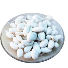 Öztecer Badem Şekeri 250G