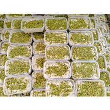 Öztecer 3 Lü Hurma Şuruplu Antep Fıstıklı Helva ( 400 G * 3 Adet )