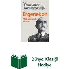 İletişim Yayınları Ergenekon Milli Mücadele Yazıları + Dünya Klasiği Hediye