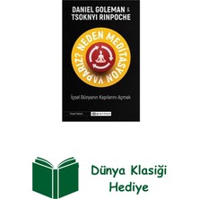 Epsilon Yayınevi Neden Meditasyon Yaparız? Içsel Dünyanın Kapıla... + Dünya Klasiği Hediye