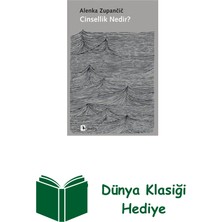 Metis Yayınları Cinsellik Nedir? + Dünya Klasiği Hediye