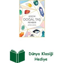 Pegasus Küçük Doğal Taş Rehberi + Dünya Klasiği Hediye