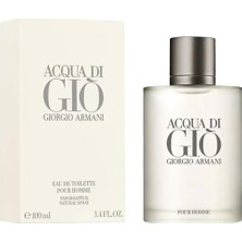 Giorgio Armani Acqua Di Gio Pour Homme Erkek Parfüm Edt 100 ml