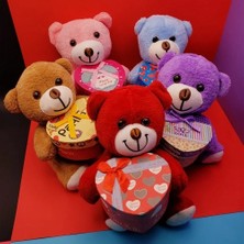 İlk El Grup Kutulu Peluş Ayıcık