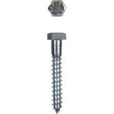 İlk El Grup  Trifon Vida 8X80 mm (5 Adet)