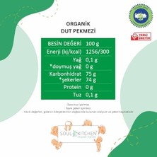 Maxi Trendy Organik Dut Pekmezi 380GR (Soğuk Sıkım) (Şeker Ilavesiz)