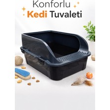 Irak Açık Kedi Yüksek Tuvalet-Gri