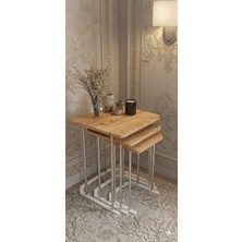 Eryalux Home 3'lü Kare Zigon Sehpa (Gümüş-Çam)