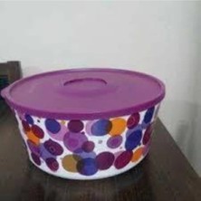 Tupperware Delüks 4.3 Lt Kapaklı Saklama Kabı Delux