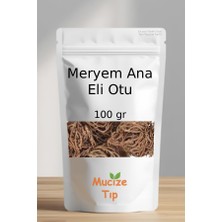 Mucize Tıp Meryem Ana Eli Otu Kurusu Dökme 100 gr