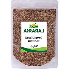 Hakay 500G Deve Dikeni Tohumu, Sağlıklı Bahçe Bitkisi, Besleyici Özellik
