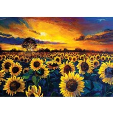 Hakay 1000 Parça Güneş Hasatı Temalı Puzzle, Eğlenceli Zihin Geliştirme