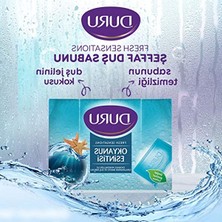 Hakay Okyanus Esintisi Duş Sabunu, 600 Gram Ferahlatıcı ve Canlandırıcı