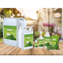 Hakay 100 ml Sıvı Besin Gübre, Çiçeksiz Bitkiler Için Besleyici Çözüm