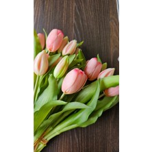 Omelas Yapay Islak Lale Pembe 30 Cm. Islak Dokulu Pembe Lale 7 Dallı. ( 4 Çiçek 3 Tomurcuk)