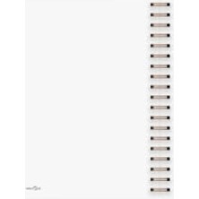 Hakay Noktalı Bullet Journal Pro Defter, Kum Renk, 17X24CM