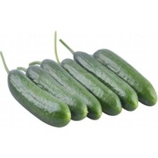 Hakay Beith Alpha Salatalık Tohumu - 5 Gram