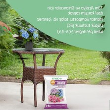 Hakay 10 Lt Ortanca ve Açelya Bitkileri Için Uygun Toprak