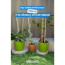 Hakay 30 cm Uzunluğunda 10 Adet Bambu Bitki Destek Kazığı