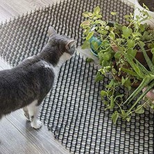 Hakay Dikenli Kedi Kovucu Paspası, Bahçe Bitkileri Için Engelleyici