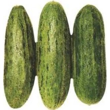 Hakay Acur Tüylü Tohumu (Çoklu) - 5 Gram