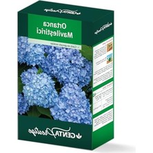 Hakay Genta Prestige Ortanca Mavileştirici 800 Gr.