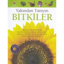KSB Store Bitkiler - Yakından Tanıyın