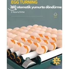 Eco Lounge Profesyonel 130 Yumurtalık Tam Otomatik Kuluçka Makinesi Yedek Motorlu Tavuk Kaz Ördek Bıldırcın Güvercin Süs Kuşu Için Tasarlanmış