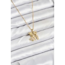 Berselya Underwear & Accessories 316L Çelik Zincir Gold Renk Erkek Kız Model Kadın Kolye