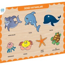 Semel CAAHS-3212 Ahşap Deniz Hayvanları Bul-Tak