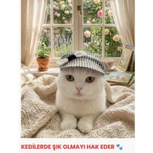 Kedi ve Küçük Irk Köpek Aksesuar Şapka
