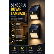 Aesco Dp-53 Duvar Lambası