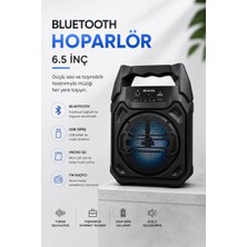 Aesco Mikrofonlu Bluetooth Ses Sistemli Usb, Micro Sd, Fm ve Uzun Pil Ömrü