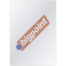 Bigpoint - A4 Pp Cilt Kapağı 450 Mikron Buzlu Şeffaf