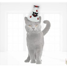 Süsle Bebek ve Parti Kedi Doğum Günü Şapkası